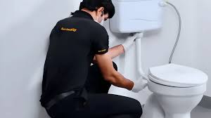 Western toilet repair (floor mounted)